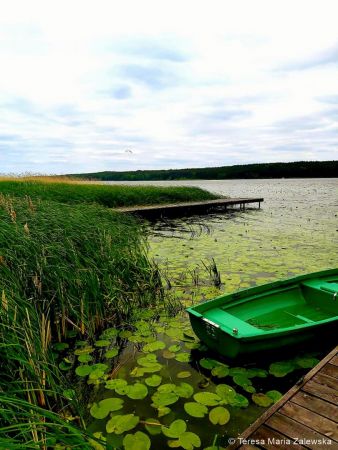 Nad Jeziorem Zegrzyńskim