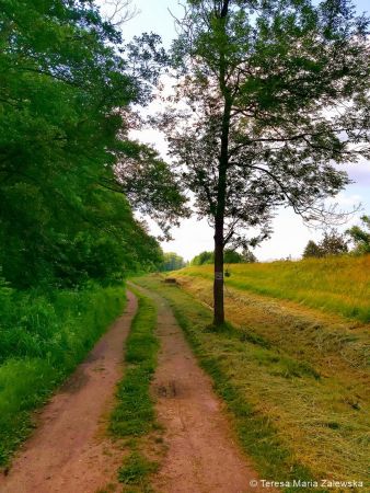 Nad Jeziorem Zegrzyńskim
