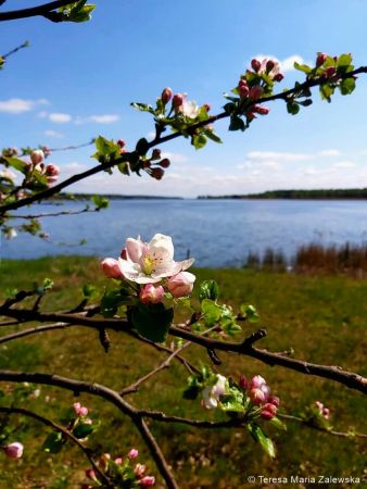 Nad Jeziorem Zegrzyńskim