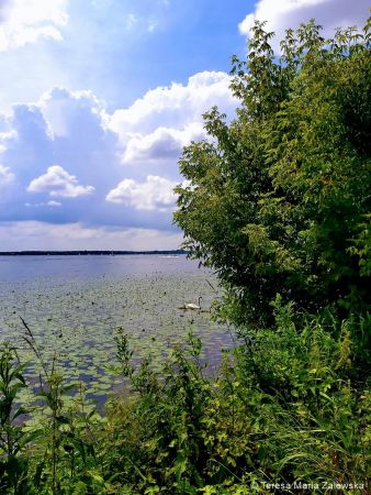 Nad Jeziorem Zegrzyńskim