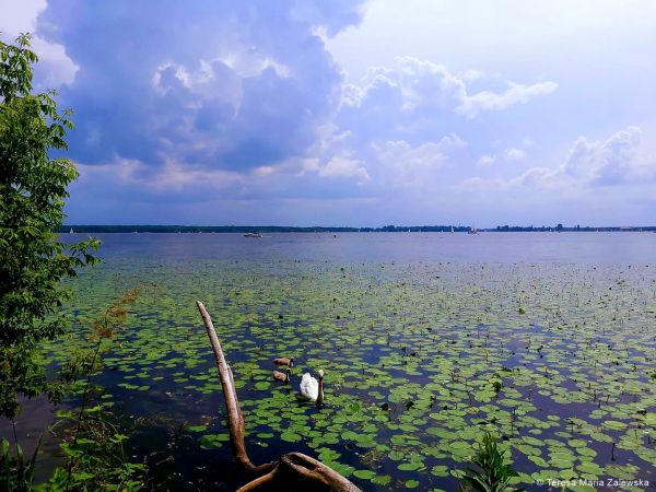 Nad Jeziorem Zegrzyńskim