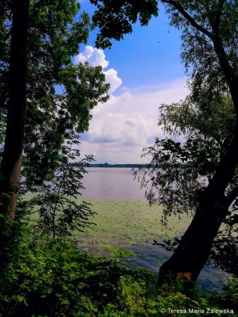 Nad Jeziorem Zegrzyńskim