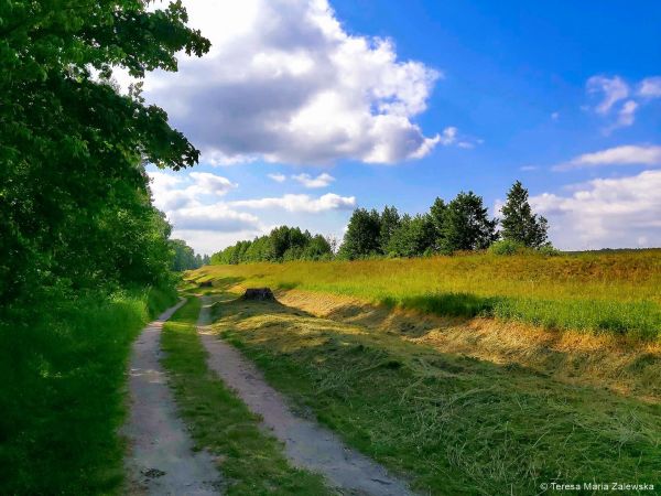 Nad Jeziorem Zegrzyńskim