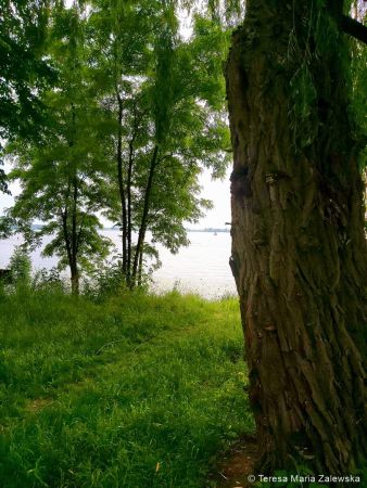 Nad Jeziorem Zegrzyńskim