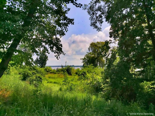 Nad Jeziorem Zegrzyńskim