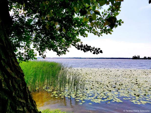Nad Jeziorem Zegrzyńskim