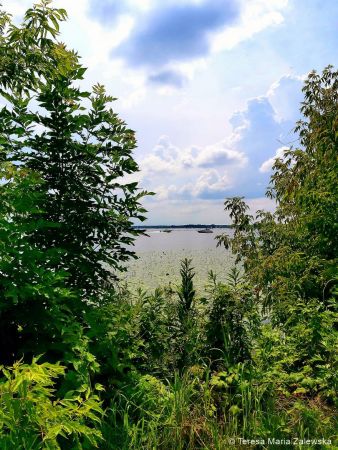 Nad Jeziorem Zegrzyńskim