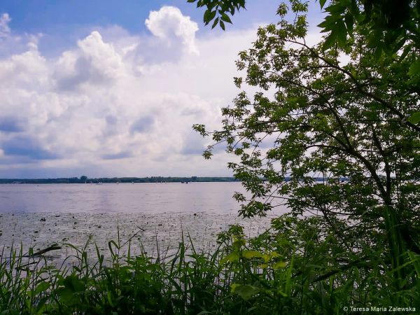 Nad Jeziorem Zegrzyńskim