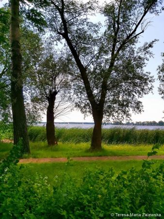 Nad Jeziorem Zegrzyńskim