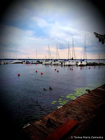 Nad Jeziorem Zegrzyńskim