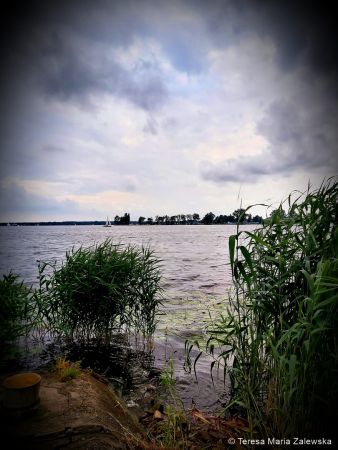 Nad Jeziorem Zegrzyńskim