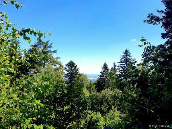 Góry Świętokrzyskie