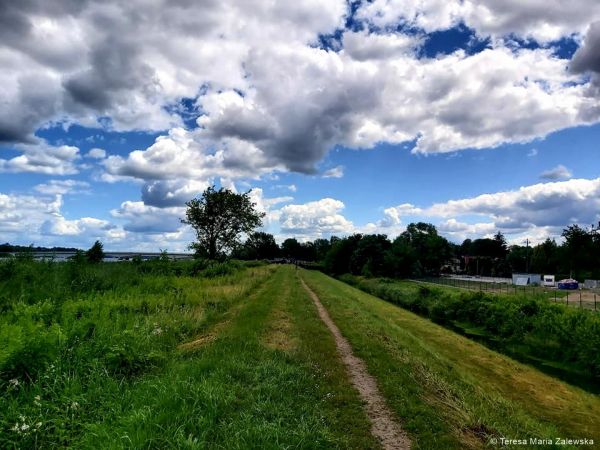 Nad Jeziorem Zegrzyńskim
