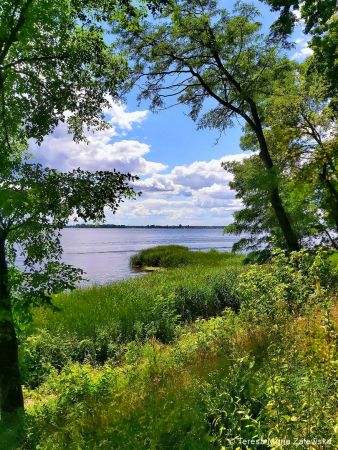 Nad Jeziorem Zegrzyńskim