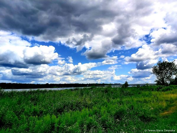 Nad Jeziorem Zegrzyńskim