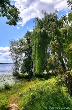 Nad Jeziorem Zegrzyńskim