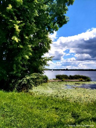 Nad Jeziorem Zegrzyńskim