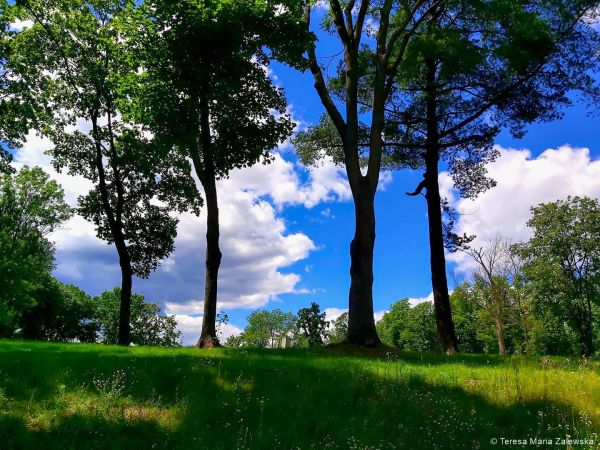 Nad Jeziorem Zegrzyńskim