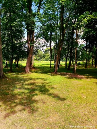 Nad Jeziorem Zegrzyńskim