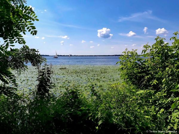 Nad Jeziorem Zegrzyńskim