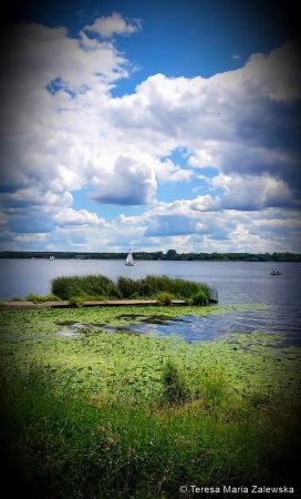 Nad Jeziorem Zegrzyńskim