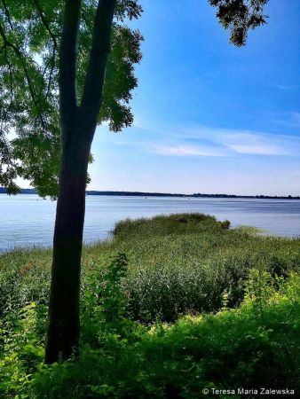 Nad Jeziorem Zegrzyńskim