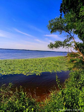 Nad Jeziorem Zegrzyńskim