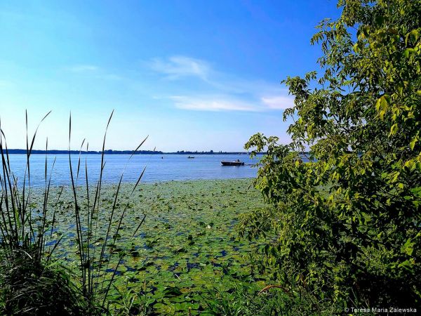 Nad Jeziorem Zegrzyńskim