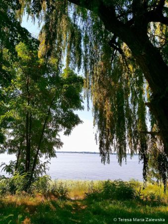 Nad Jeziorem Zegrzyńskim