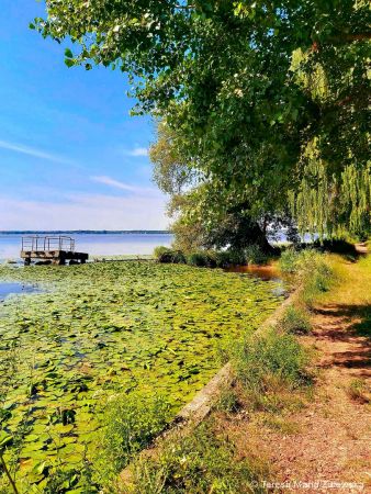 Nad Jeziorem Zegrzyńskim