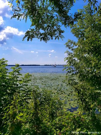 Nad Jeziorem Zegrzyńskim