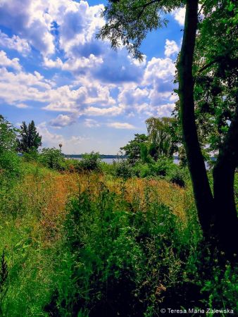 Nad Jeziorem Zegrzyńskim