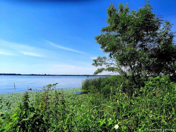 Nad Jeziorem Zegrzyńskim