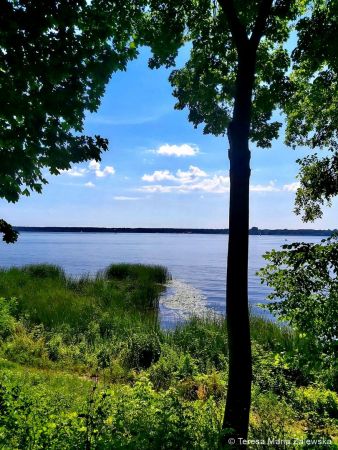 Nad Jeziorem Zegrzyńskim
