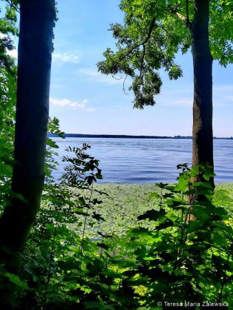 Nad Jeziorem Zegrzyńskim