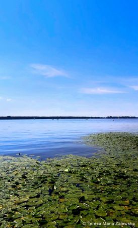 Nad Jeziorem Zegrzyńskim