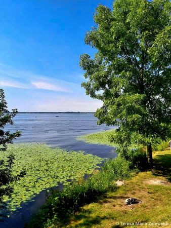 Nad Jeziorem Zegrzyńskim