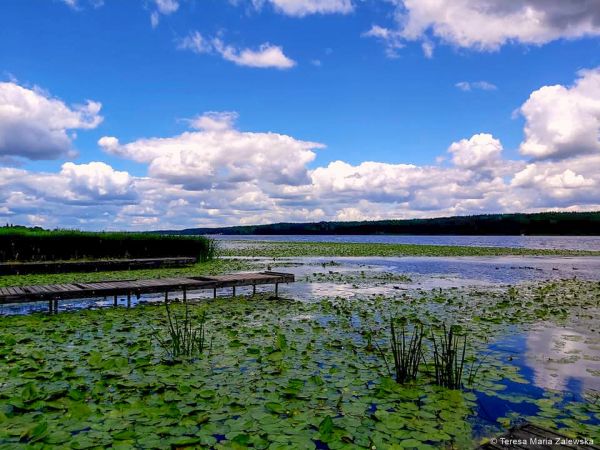 Nad Jeziorem Zegrzyńskim