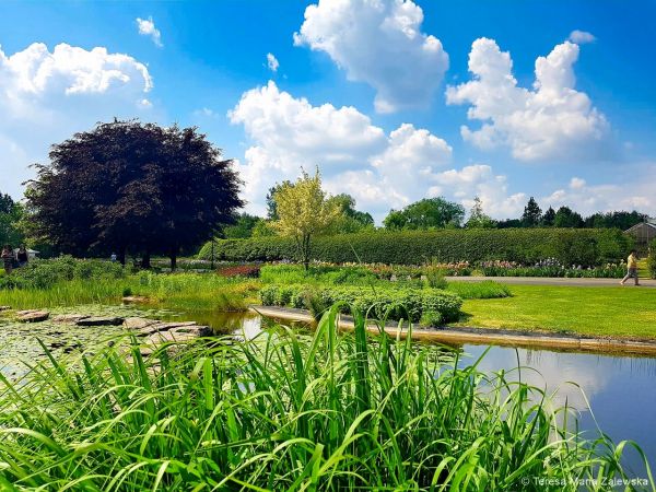 Ogród botaniczny w Powsinie