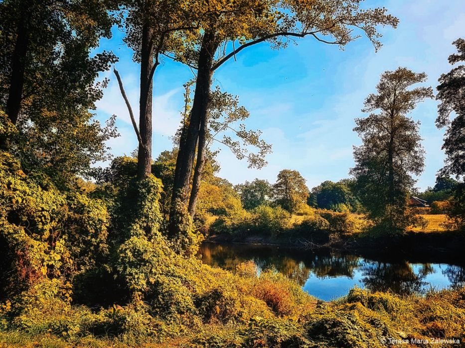 Złota Jesień