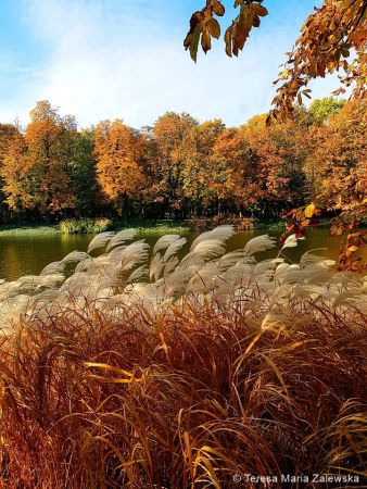 Łazienki Królewskie w Warszawie