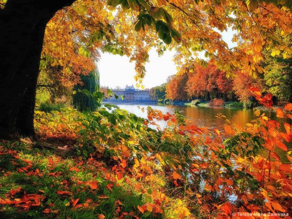 Łazienki Królewskie w Warszawie