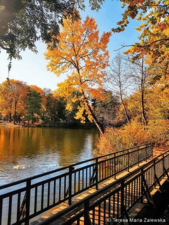 Łazienki Królewskie w Warszawie