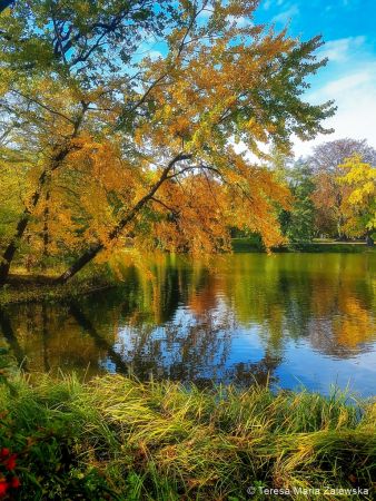 Łazienki Królewskie w Warszawie