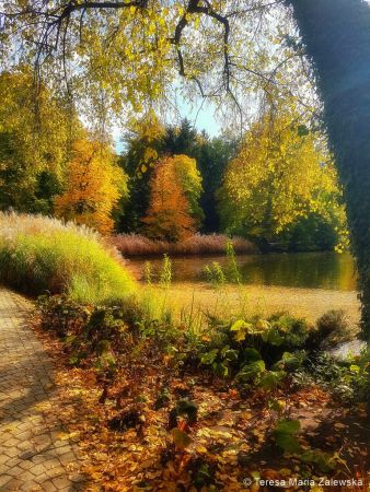 Łazienki Królewskie w Warszawie