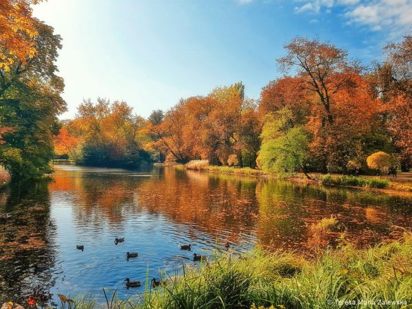 Łazienki Królewskie w Warszawie