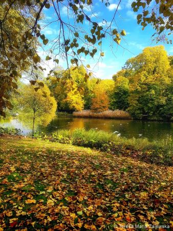 Łazienki Królewskie w Warszawie