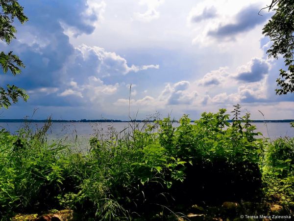 Nad Jeziorem Zegrzyńskim