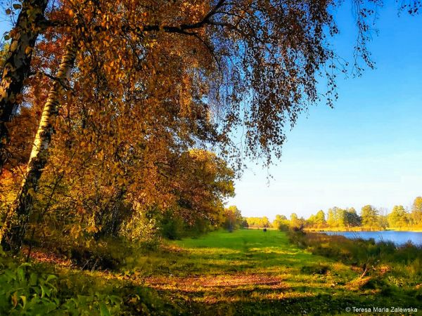 Złota Jesień