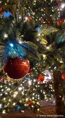 Świąteczna Iluminacja w Warszawie 2020/2021